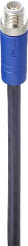 Belden 934851075-1 Sensor-/Aktor-Anschlussleitung M12 Stecker, gerade 2.00m Polzahl: 5 1St. Belden 934851075-1 Sensor-/Aktor-Anschlussleitung M12 Stecker, gerade 2.00m Polzahl: 5 1St. von BELDEN