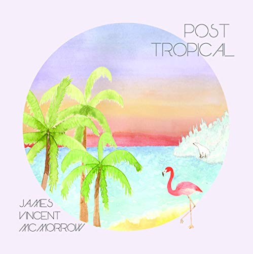 Post Tropical (Incl.Mp3-Code) [Vinyl LP] von BELIEVE
