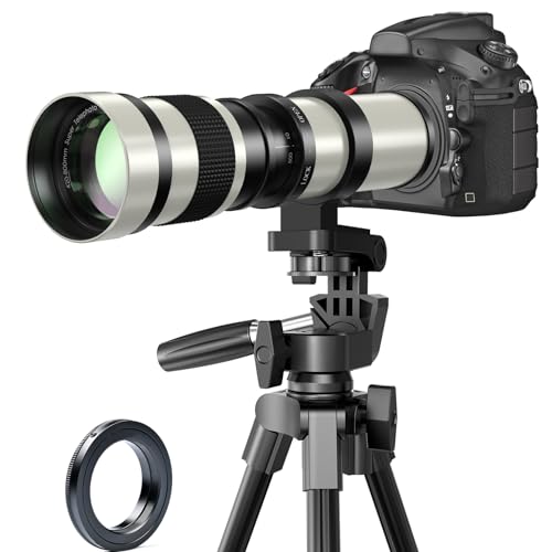 BENOISON 420-800mm Super-Telezoom-Objektiv Manueller Fokus Teleobjektiv EF Objektiv für Canon EOS Rebel T8i T7i T7 T6 T6s T6i T3i T2i SL3 SL2 90D 80D 77D 4000D,1DX 5D 6D Mark II/III/IV DSLR BENOISON 420-800mm Super-Telezoom-Objektiv Manueller Fokus Teleobjektiv EF Objektiv für Canon EOS Rebel T8i T7i T7 T6 T6s T6i T3i T2i SL3 SL2 90D 80D 77D 4000D,1DX 5D 6D Mark II/III/IV DSLR von BENOISON