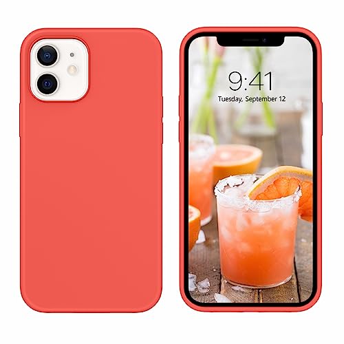 BENTOBEN iPhone 12 Hülle iPhone 12 Pro Hülle Silikon Case, iPhone 12 Handyhülle Slim Kratzfest Weiche Flüssigsilikon Gummi innem Soft Microfaser Tuch Futter iPhone 12/iPhone 12 Pro 6.1'' Korallrot von BENTOBEN