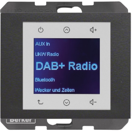 30847006  - Radio DAB+, Bt., K.x anth. 30847006 von BERKER
