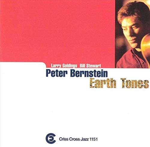 Earth Tones von BERNSTEIN,PETER TRIO