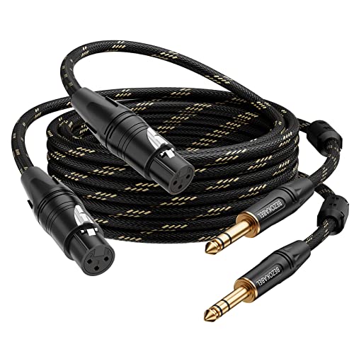 BEZOKABLE XLR auf 1/4 Kabel, 4 m, 6,35 mm auf TRS-Kabel, symmetrische XLR-Buchse auf 1/4-Zoll-Adapter, 1/4-Zoll-auf-Mikrofonkabel, 2 Stück von BEZOKABEL