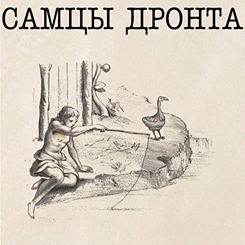 Samtsi Dronta [Vinyl LP] von BFE RECORDS