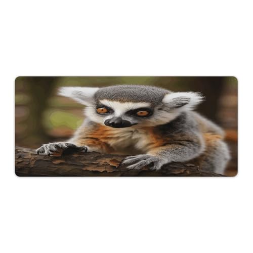 Mauspad Affe Lemur Niedlicher Druck Computer Schreibtisch Matte Gaming Mauspad für Home Office Gaming Mauspad Affe Lemur Niedlicher Druck Computer Schreibtisch Matte Gaming Mauspad für Home Office Gaming von BFGWK