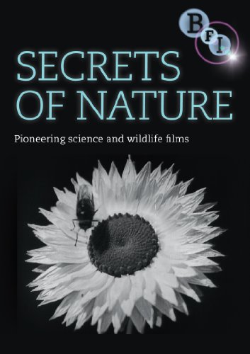 Secrets Of Nature [DVD] [1922] von BFI VIDEO