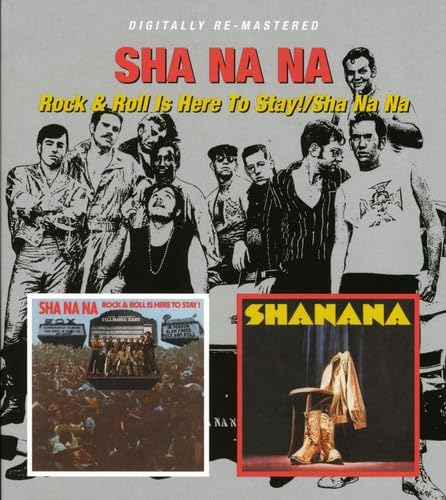 Rock & Roll Is Here to Stay!/Sha Na Na von BGO
