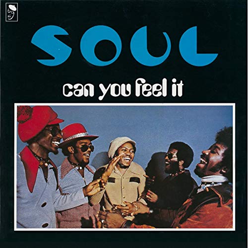 Can You Feel It [Vinyl LP] von BGP