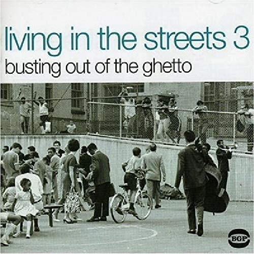 Living in the Streets 3: Bustin' Outta the Ghetto [Vinyl LP] von BGP