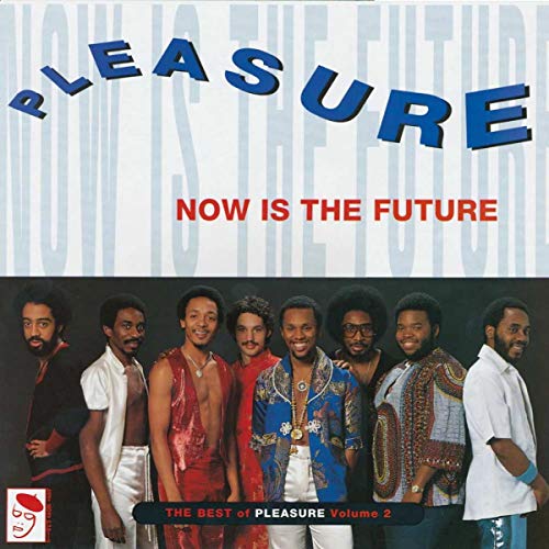 Now Is the Future: Best of Pleasure [Vinyl LP] von BGP