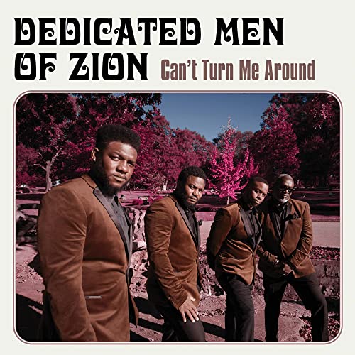 Can't Turn Me Around [Vinyl LP] von BIBLE & TIRE