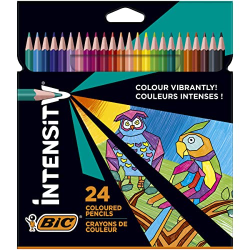 BIC Intensity Buntstifte, Dreikant-Malstifte, Farbstifte zum Malen in 24 Farben, im Karton Etui, Bruchsichere Mine & ohne Holz (Paket kann variieren) 24 Stück von BIC Intensity