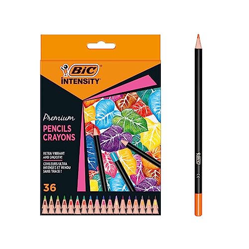 BIC Intensity Premium Buntstifte für Erwachsene und Kinder, Farbstifte zum Malen in 36 Farben, hochpigmentiert & mit bruchsicherer Mine von BIC Intensity
