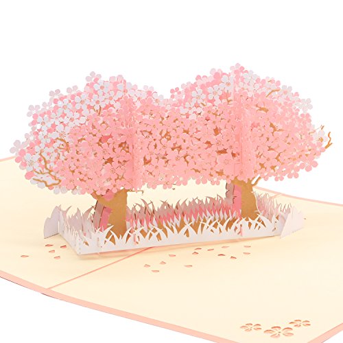 3D Karte, Geburtstagskarte, Hochzeitskarte, Pop Up Karte, Romantische Karte - ¡" von BIERDORF