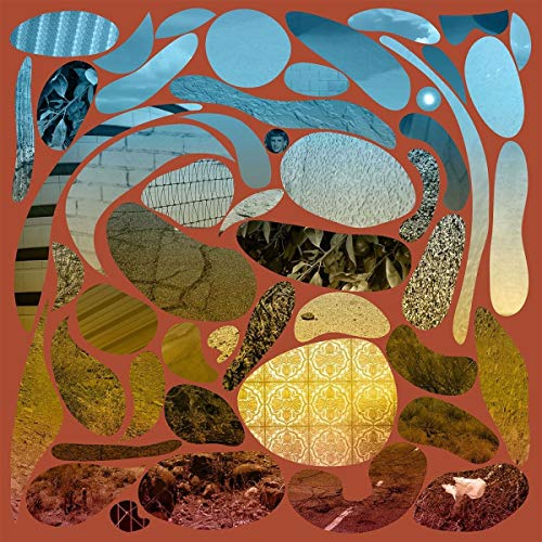 Phoenix [Vinyl LP] von BIG SCARY MONSTE