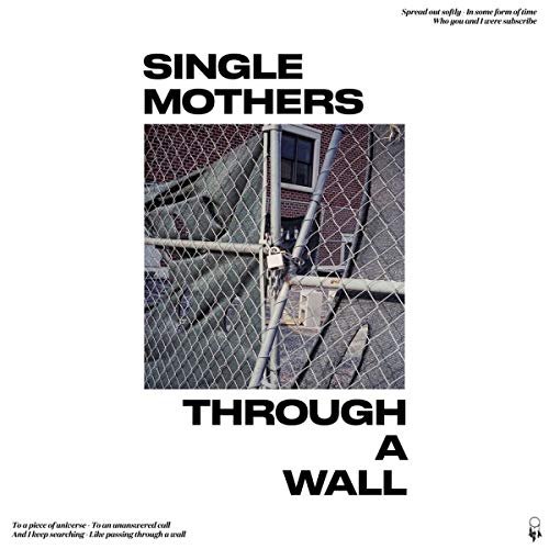 Through A Wall [Vinyl LP] von BIG SCARY MONSTE