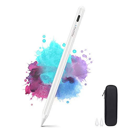 BIGBIG WON Stylet Pour iPad Avec rejet de la Paume, Reject de Paume, Stylo iPad Avec étui Porte-Stylo, Compatible Avec iPad 6/7/8, iPad Pro (11 "/12.9"), iPad Mini 5, iPad Air 3/4 von BIGBIG WON