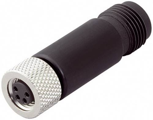 Binder 09-5281-00-04 Sensor-/Aktor-Verteiler und Adapter M8, M12 Stecker, gerade, Buchse, gerade Pol Binder 09-5281-00-04 Sensor-/Aktor-Verteiler und Adapter M8, M12 Stecker, gerade, Buchse, gerade Pol von BINDER