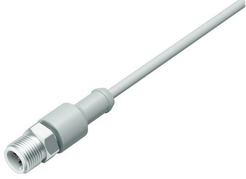 Binder 77 3729 0000 40908-0200 Sensor-/Aktor-Steckverbinder, konfektioniert M12 Stecker, gerade 1St. Binder 77 3729 0000 40908-0200 Sensor-/Aktor-Steckverbinder, konfektioniert M12 Stecker, gerade 1St. von BINDER