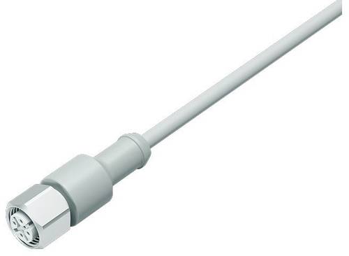 Binder 77 3730 0000 40404-0500 Sensor-/Aktor-Steckverbinder, konfektioniert M12 Kupplung, gerade 1St von BINDER