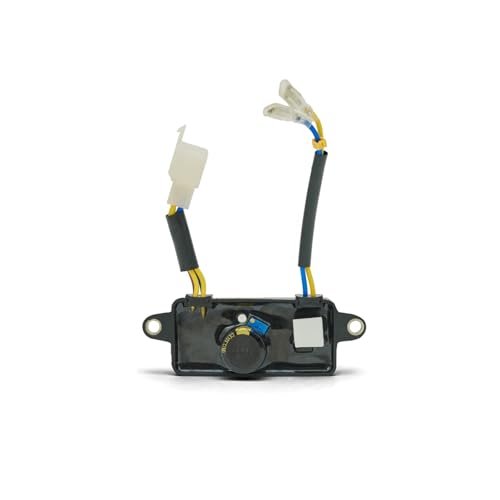 AVR-Benzinmotor-Teile-Generator-Set 2kw 5kw Montage 5kw 6.5kw 8kw Eisenschale 168f(220V 2kw 6wires) von BJWVHGGE
