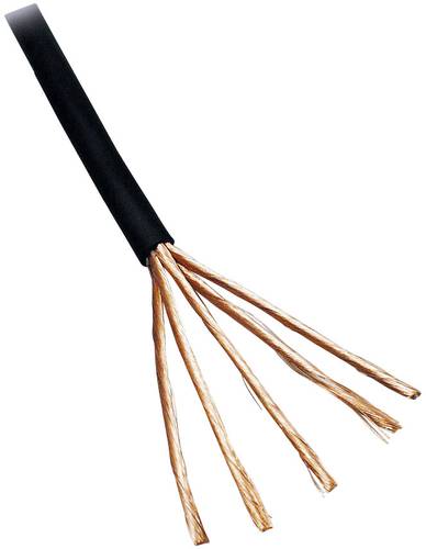 BKL Electronic 1106006/50 Audiokabel 2 x 0.10mm² Schwarz 50m BKL Electronic 1106006/50 Audiokabel 2 x 0.10mm² Schwarz 50m von BKL Electronic