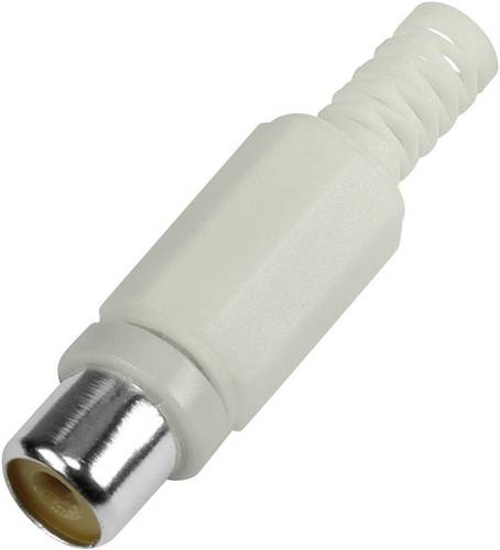 BKL Electronic 1108014 Cinch-Steckverbinder Buchse, gerade Polzahl (num): 2 Weiß von BKL Electronic