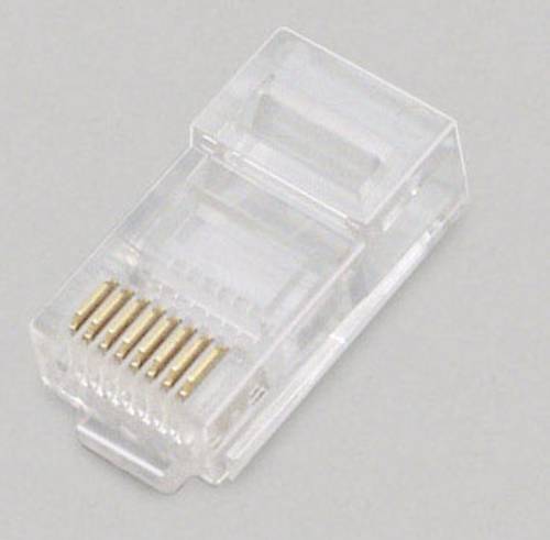 BKL Electronic Modularstecker 2606003 Stecker, gerade Polzahl 8P8C Transparent 100St. BKL Electronic Modularstecker 2606003 Stecker, gerade Polzahl 8P8C Transparent 100St. von BKL Electronic