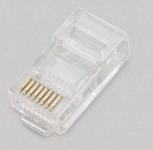 BKL Electronic Modularstecker 2606003 Stecker, gerade Polzahl 8P8C Transparent 100St. von BKL Electronic