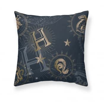 Belum | Kissenbezug Harry Potter, 100% Baumwolle, Modell Hotter Gold, 65 x 65 cm. von BL BELUM