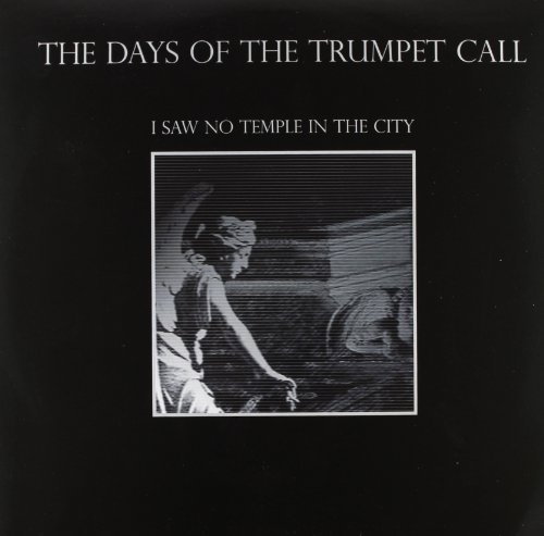I Saw No Temple in the City [Vinyl LP] von BLACK RAIN