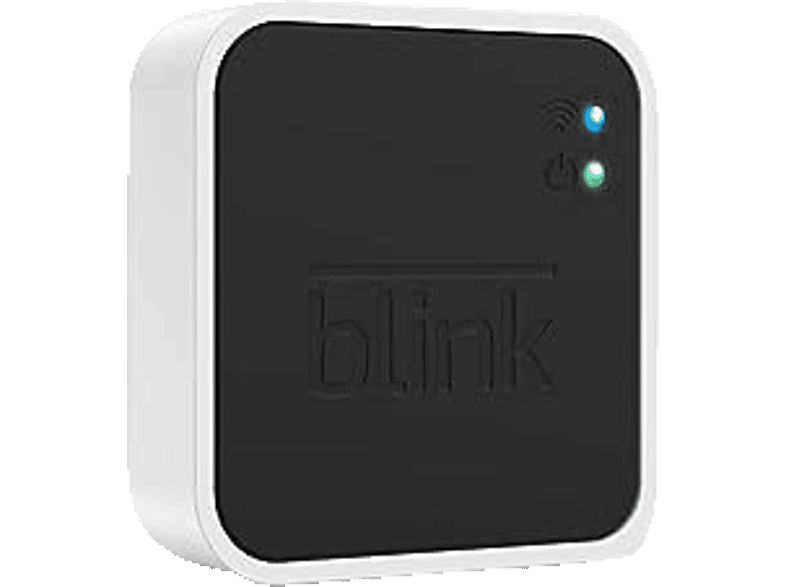 BLINK Sync Module 2, Lokaler Speicherplatz von BLINK