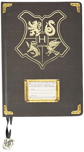 BLUE SKY STUDIOS A5 Hogwarts Harry Potter Notizbuch von BLUE SKY STUDIOS