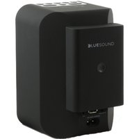 Bluesound Pulse Flex 2i & BP100 von BLUESOUND