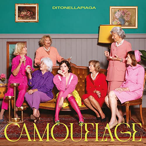 Camouflage [Black Vinyl] [Vinyl LP] von BMG RIGHTS MANAGEMENT/ADA