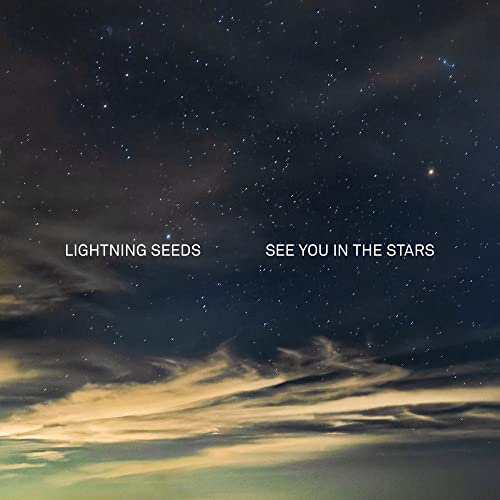 See You in the Stars [Vinyl LP] von BMG RIGHTS MANAGEMENT/ADA