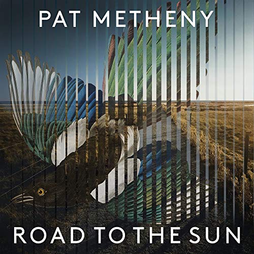 Road to the Sun [Vinyl LP] von BMG