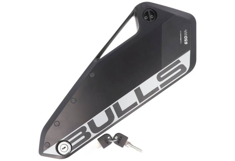 BMZ 650Wh Bulls Green Mover LION E-Bike Akku 36V 17,5Ah Rosenberger Syste Akku 17500 mAh (36,0 V) von BMZ
