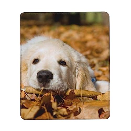 BONDIJ Mauspad – Lazy Dog Puppy Rutschfestes Gummi Rechteck Gaming Pad – Dekoratives Mauspad BONDIJ Mauspad – Lazy Dog Puppy Rutschfestes Gummi Rechteck Gaming Pad – Dekoratives Mauspad von BONDIJ