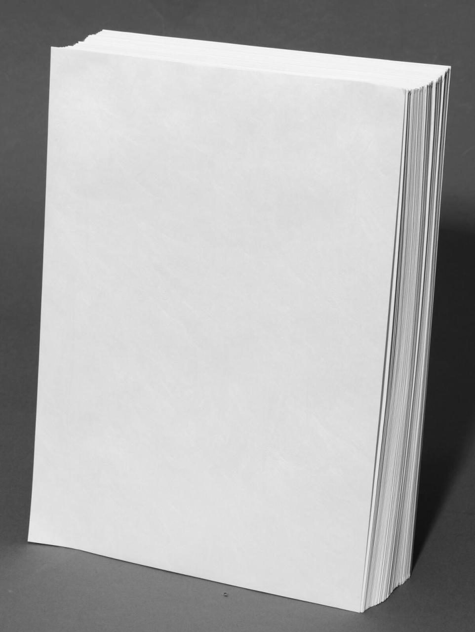 BONG Tyvek® Pocket Versandtaschen DIN C4 weiß BONG Tyvek® Pocket Versandtaschen DIN C4 weiß von BONG