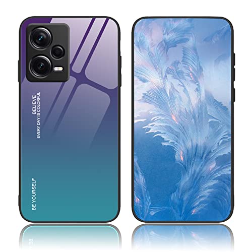 BORYA Hülle für Xiaomi Redmi Note 12 Pro+ Plus 5G, Ultra Dünn Weiches Silikon TPU Bumper Stoßfest Handyhülle, Elegant Bunt Gradient 9H Gehärtetes Glas Schutzhülle, Aurora-Blau von BORYA