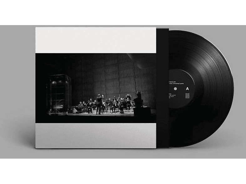 Asko schönberg Jameszoo - Music For 17 Musicians (LP) (LP (analog)) von BRAINFEEDE
