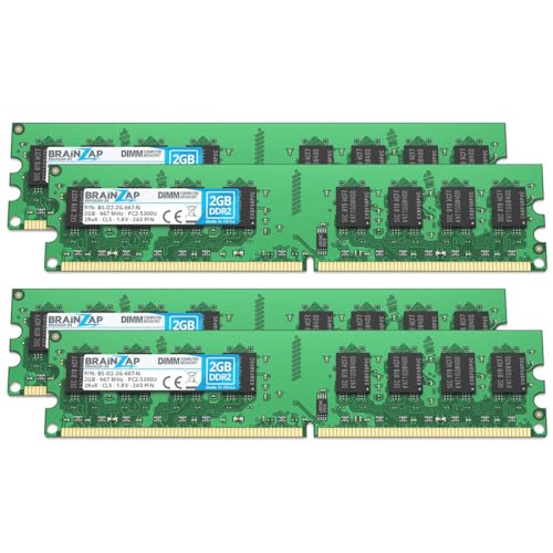 BRAINZAP 8GB DDR2 RAM DIMM PC2-5300U 2Rx8 667 MHz 1.8V CL5 Computer PC Arbeitsspeicher (4X 2GB) von BRAINZAP