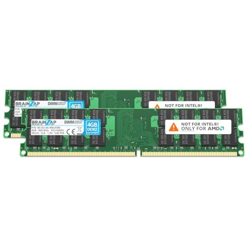 BRAINZAP 8GB DDR2 RAM DIMM PC2-6400U 2Rx16 800 MHz 1.8V CL6 AMD PC Arbeitsspeicher (2X 4GB) von BRAINZAP