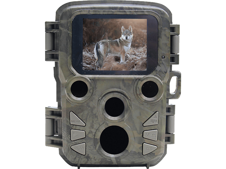 BRAUN PHOTOTECHNIK Scouting Cam Black800 Mini Wildkamera Camouflage, Nein opt. Zoom, 2" TFT LCD BRAUN PHOTOTECHNIK Scouting Cam Black800 Mini Wildkamera Camouflage, Nein opt. Zoom, 2" TFT LCD von BRAUN PHOTOTECHNIK