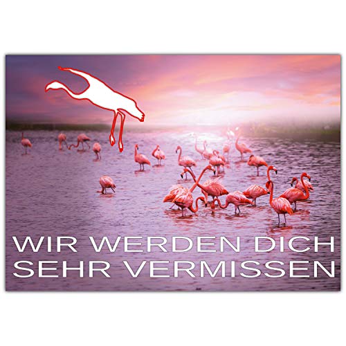 BREITENWERK A4 XXL Abschiedskarte FLAMINGOS mit Umschlag - edle Klappkarte für Kollegen zur Rente Pension Jobwechsel Mutterschutz Ruhestand Karte von BREITENWERK