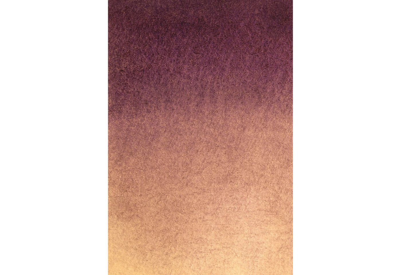 BRESSER Hintergrundtuch Hintergrundstoff mit Fotomotiv 80 x 120 cm - Lila Beige von BRESSER