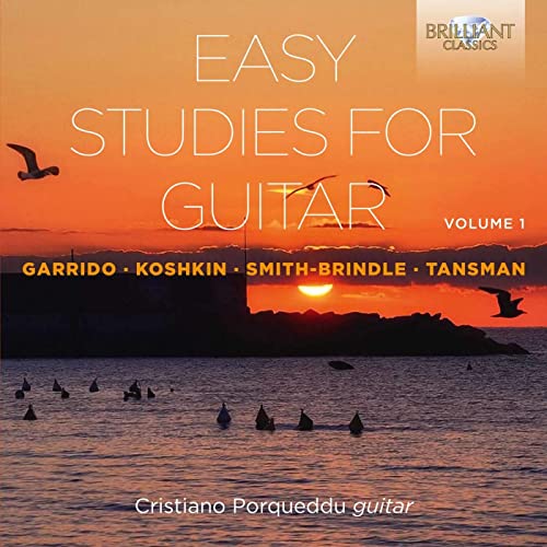 Easy Studies for Guitar Vol.1 von BRILLIANT CLASSICS