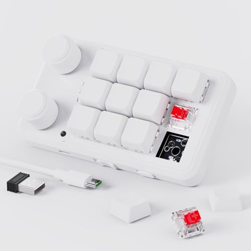 BRIMFORD Makro Tastatur Programmierbar,Kabellose Mechanische Tastatur mit RGB,Makrotastatur mit Hot-Swap-Unterstützung für PC-Spiele/Fotoproduktion/Bearbeitung (Weiß) von BRIMFORD