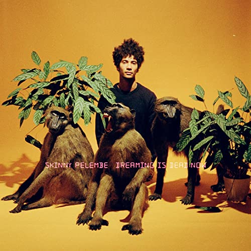 Dreaming Is Dead Now Dreaming Is Dead Now von Brownswood Recordings